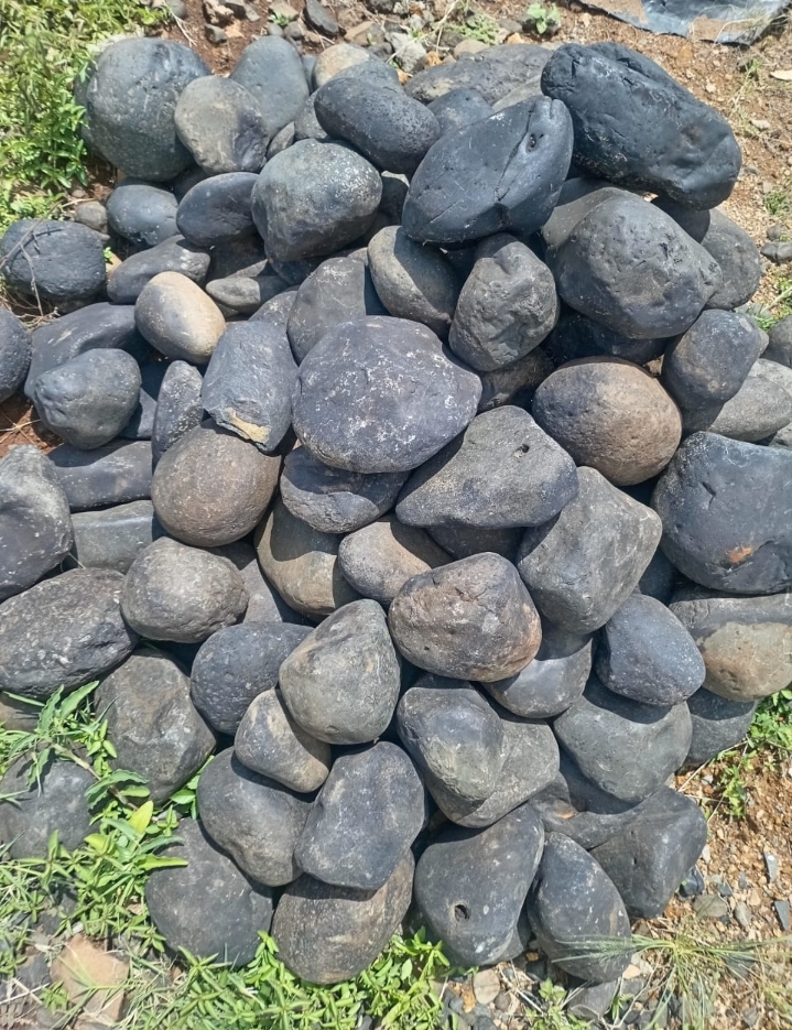 PEBBLES